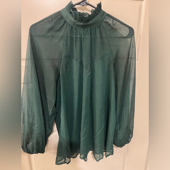 Blu Pepper Green Sheer Women's Top - Picture 2 of 5